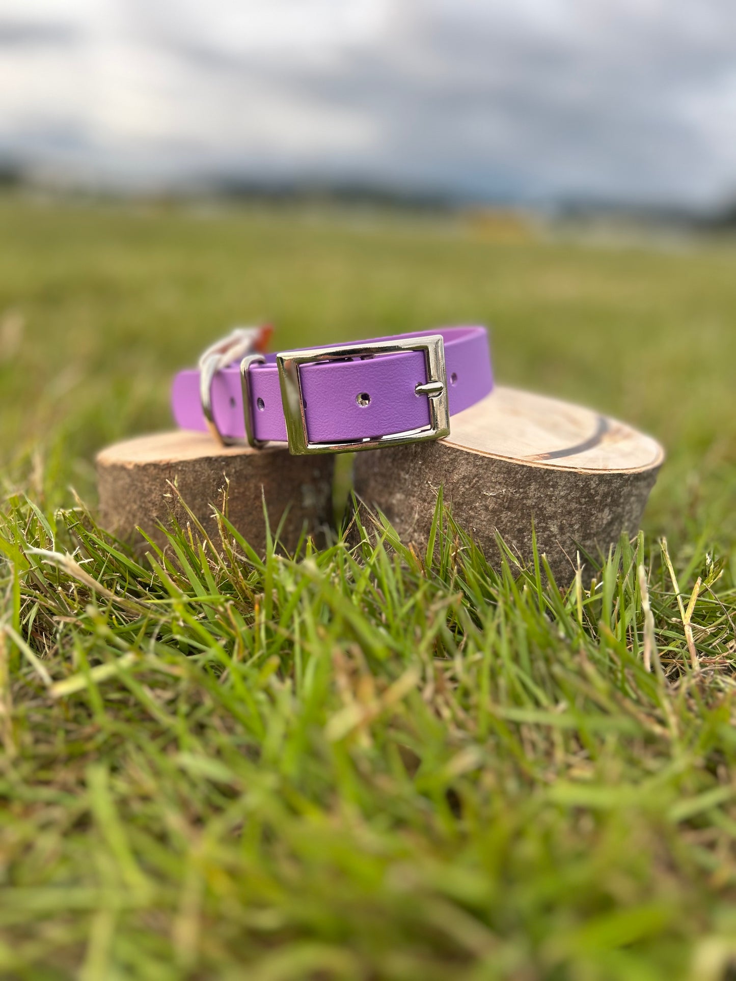 CORE Range BioThane® Collar