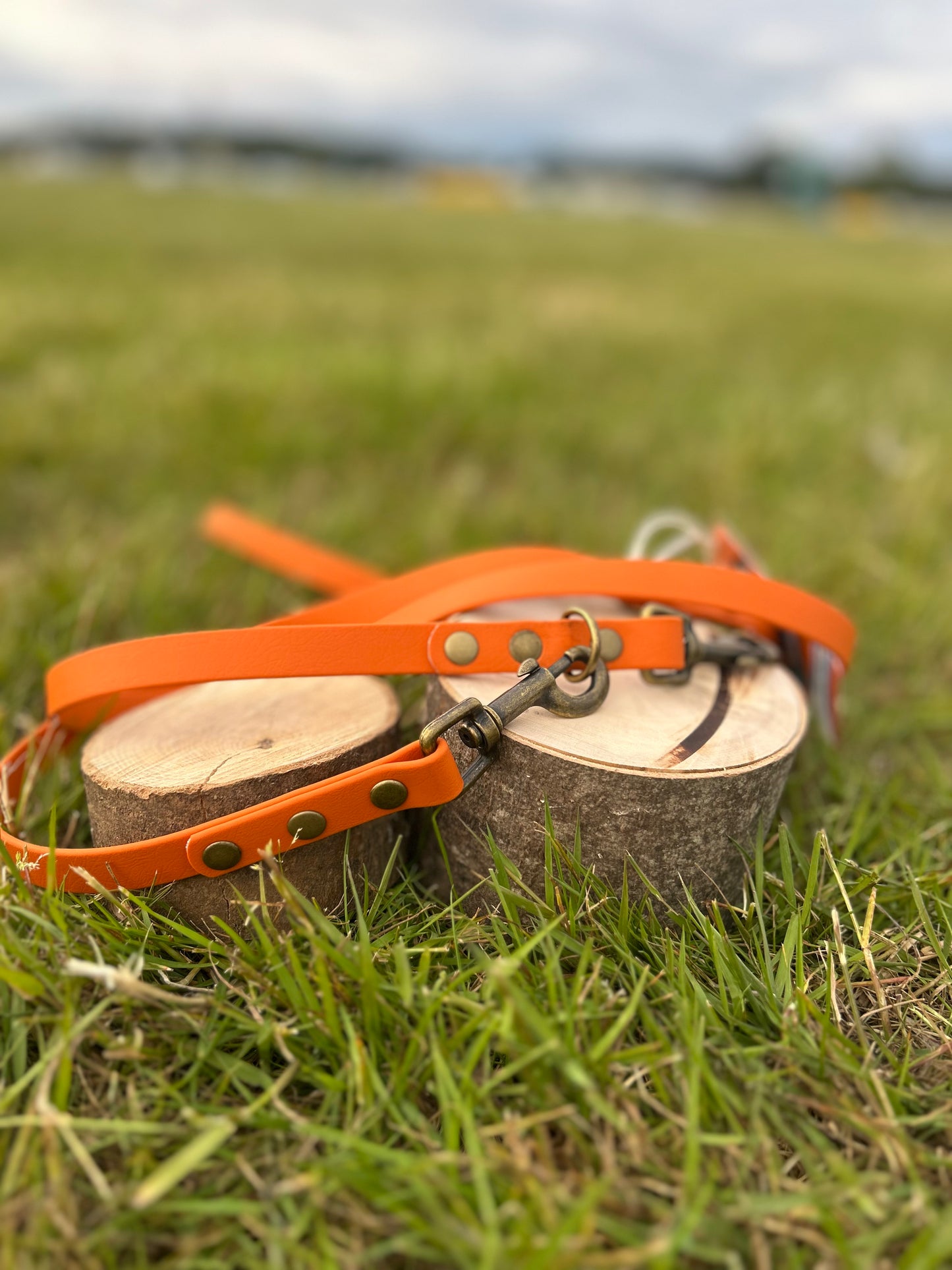 PASTEL Range BioThane® Multiway/Training Leads