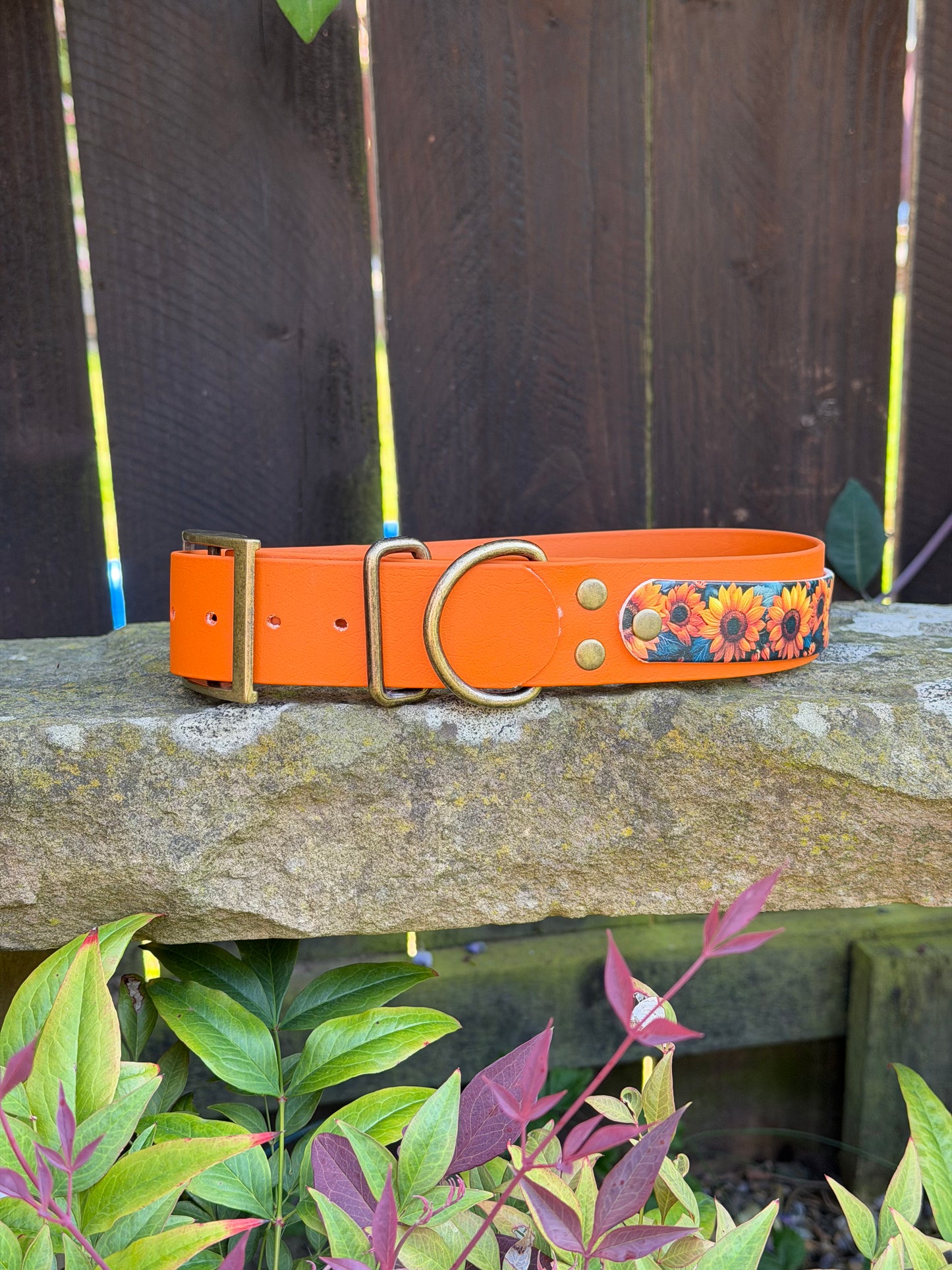 Ready to Ship Collars! Large/X-Large
