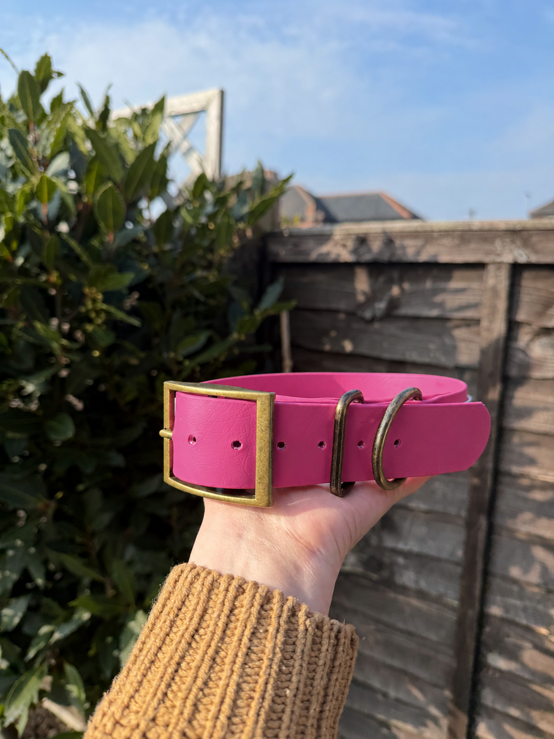 CORE Range BioThane® Collar
