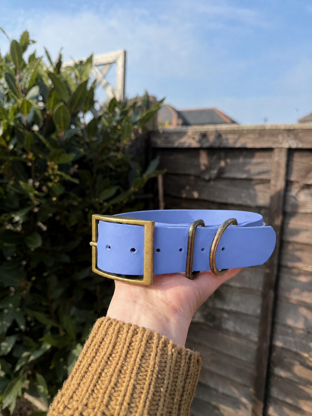 CORE Range BioThane® Collar