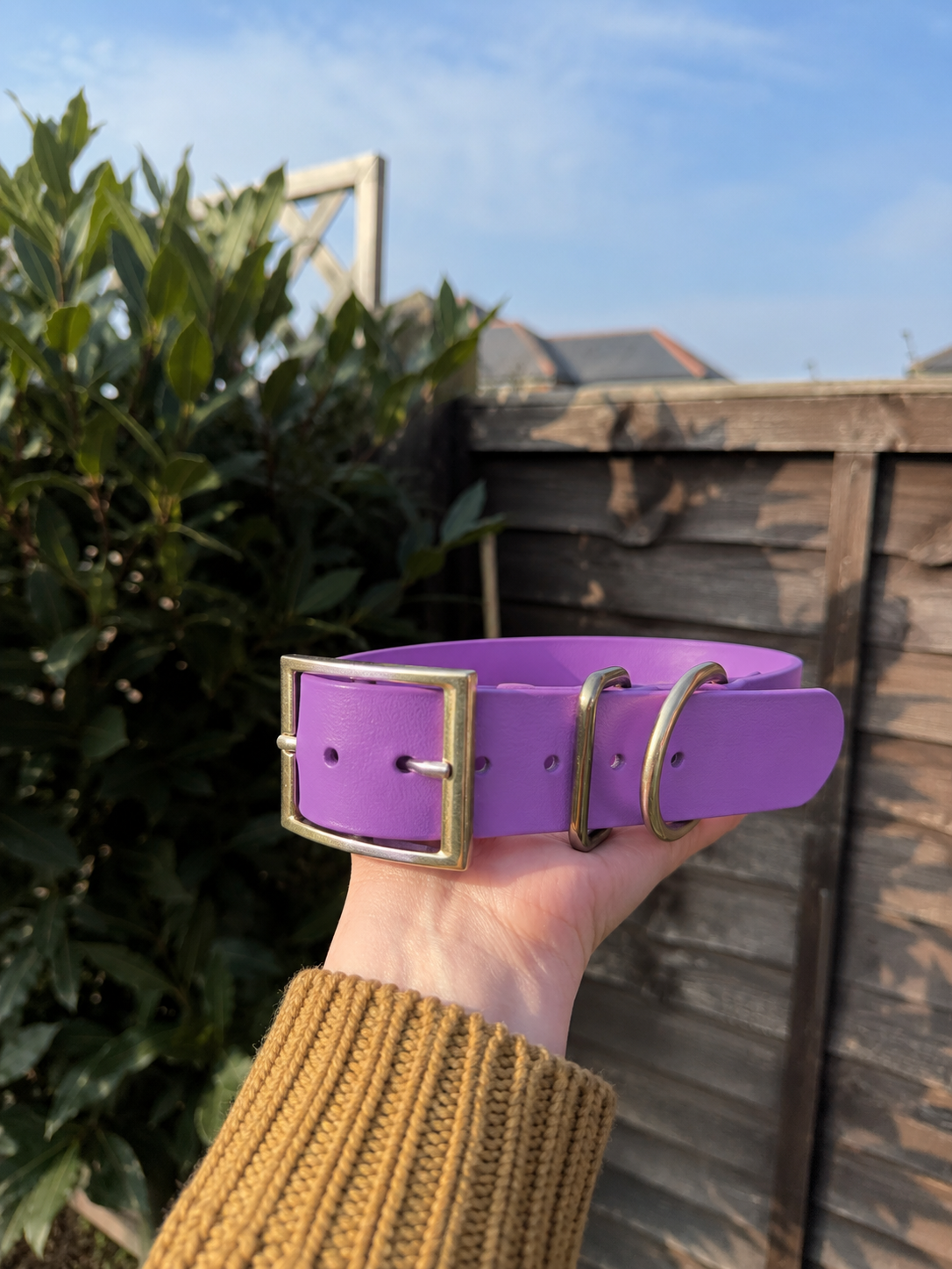 CORE Range BioThane® Collar