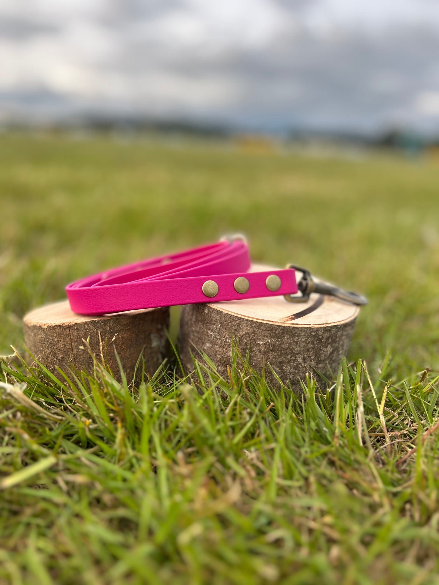 NEON Range BioThane® Standard Lead
