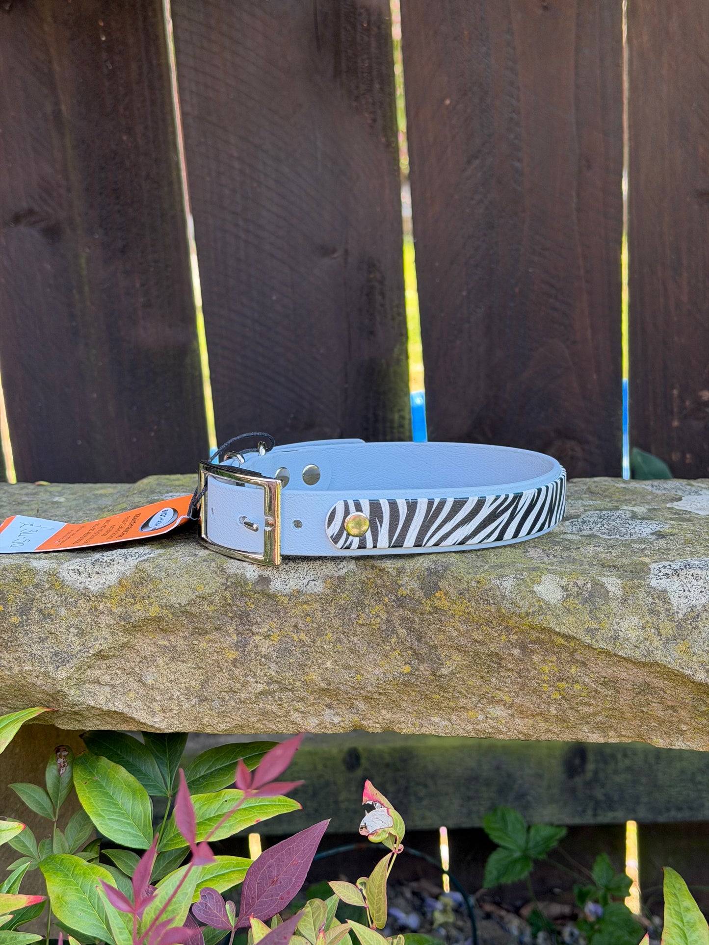 Ready to Ship Collars! Large/X-Large