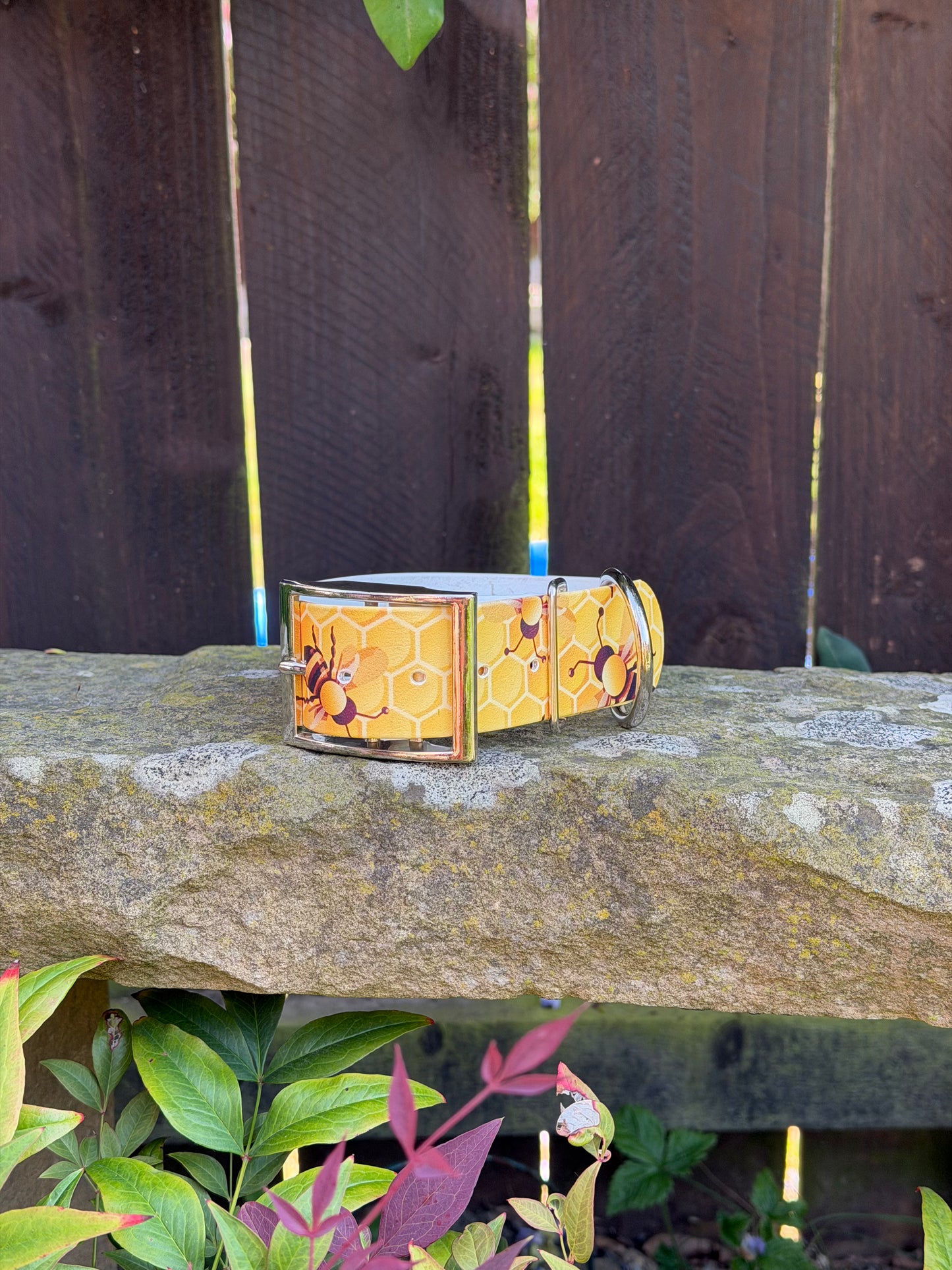 Ready to Ship Collars! Large/X-Large