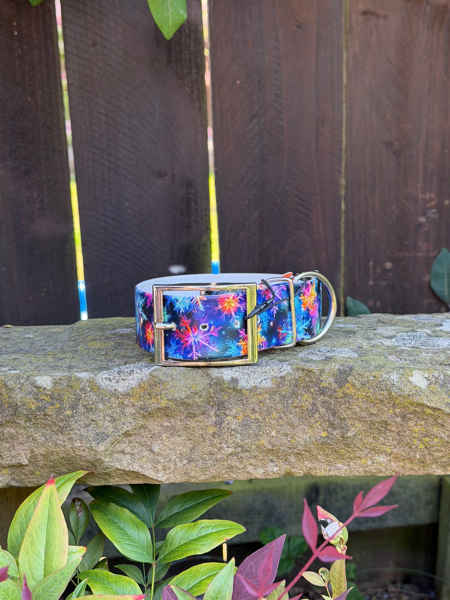 Ready to Ship Collars! Large/X-Large
