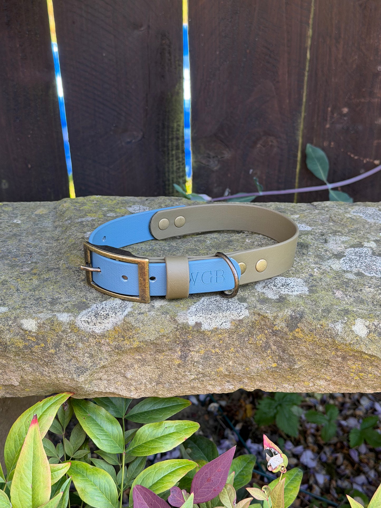 Ready to Ship Collars! Large/X-Large
