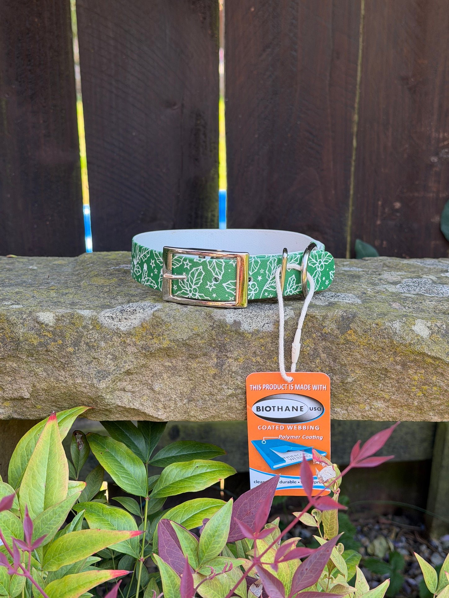 Ready to Ship Collars! Large/X-Large