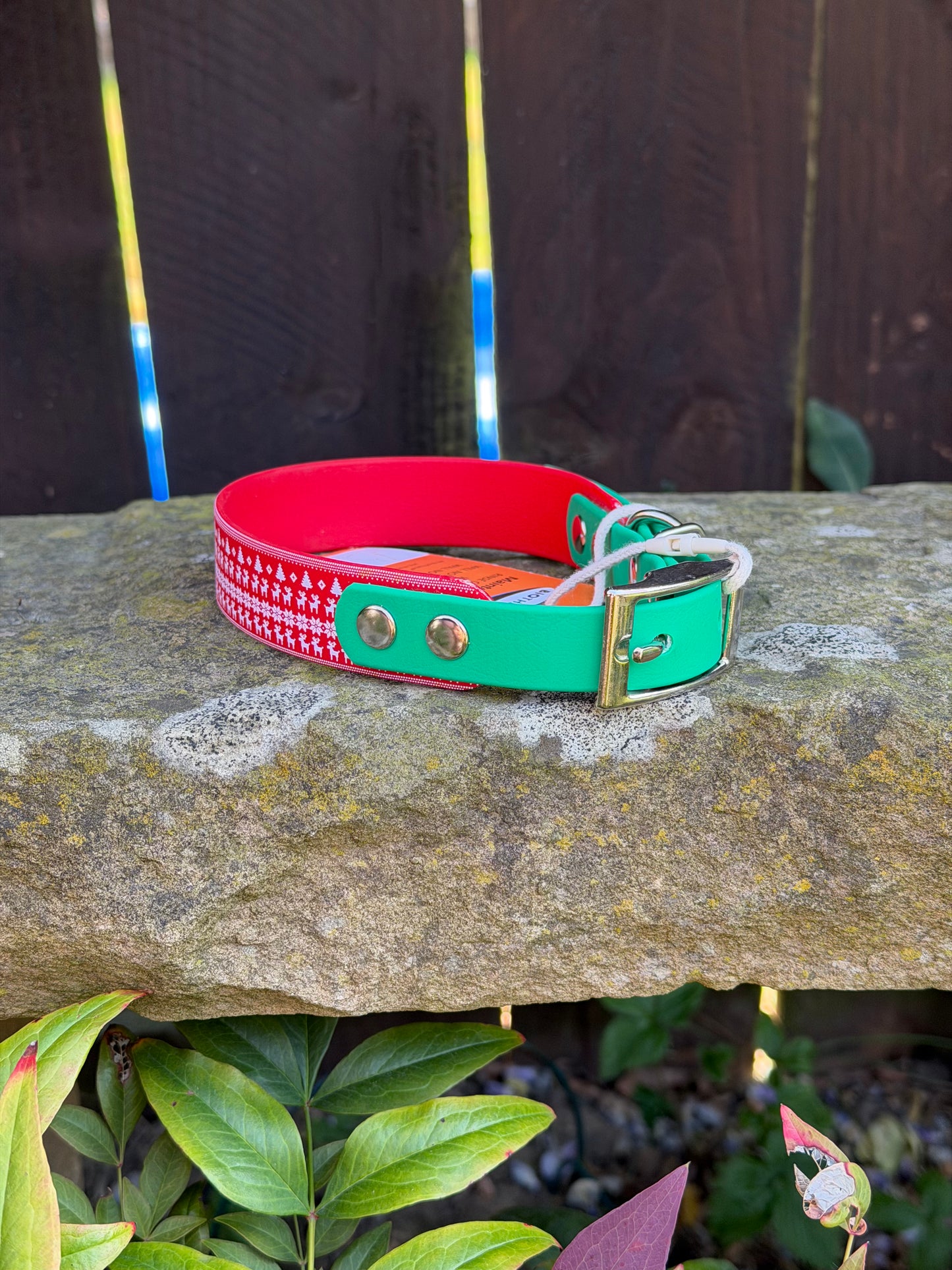 Ready to Ship Collars! Large/X-Large