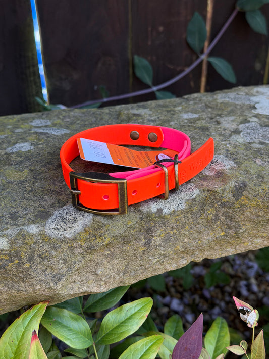 NEON Range BioThane® Collar