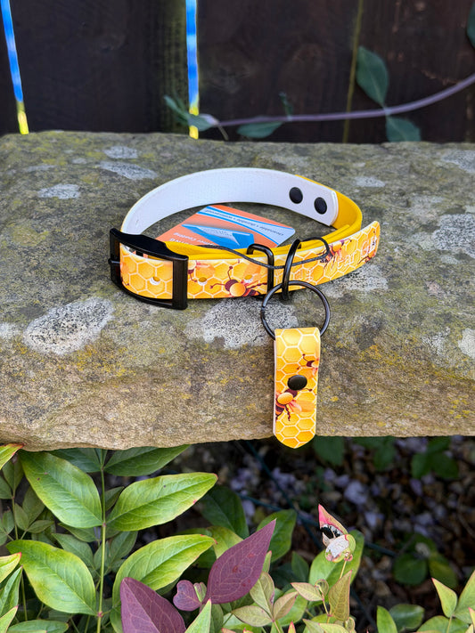 Ready to Ship Collars- Small and Medium