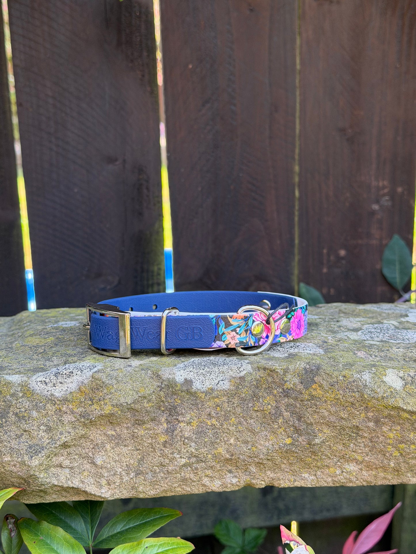 Ready to Ship Collars- Small and Medium