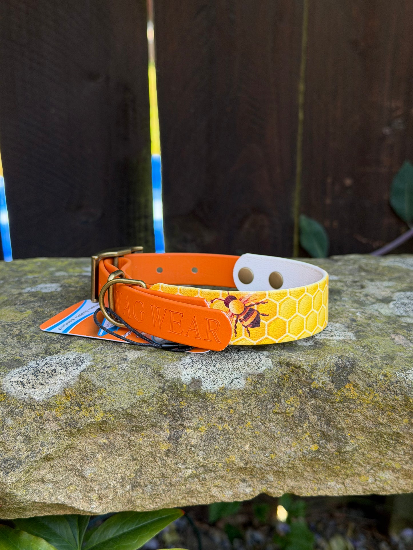 Ready to Ship Collars- Small and Medium