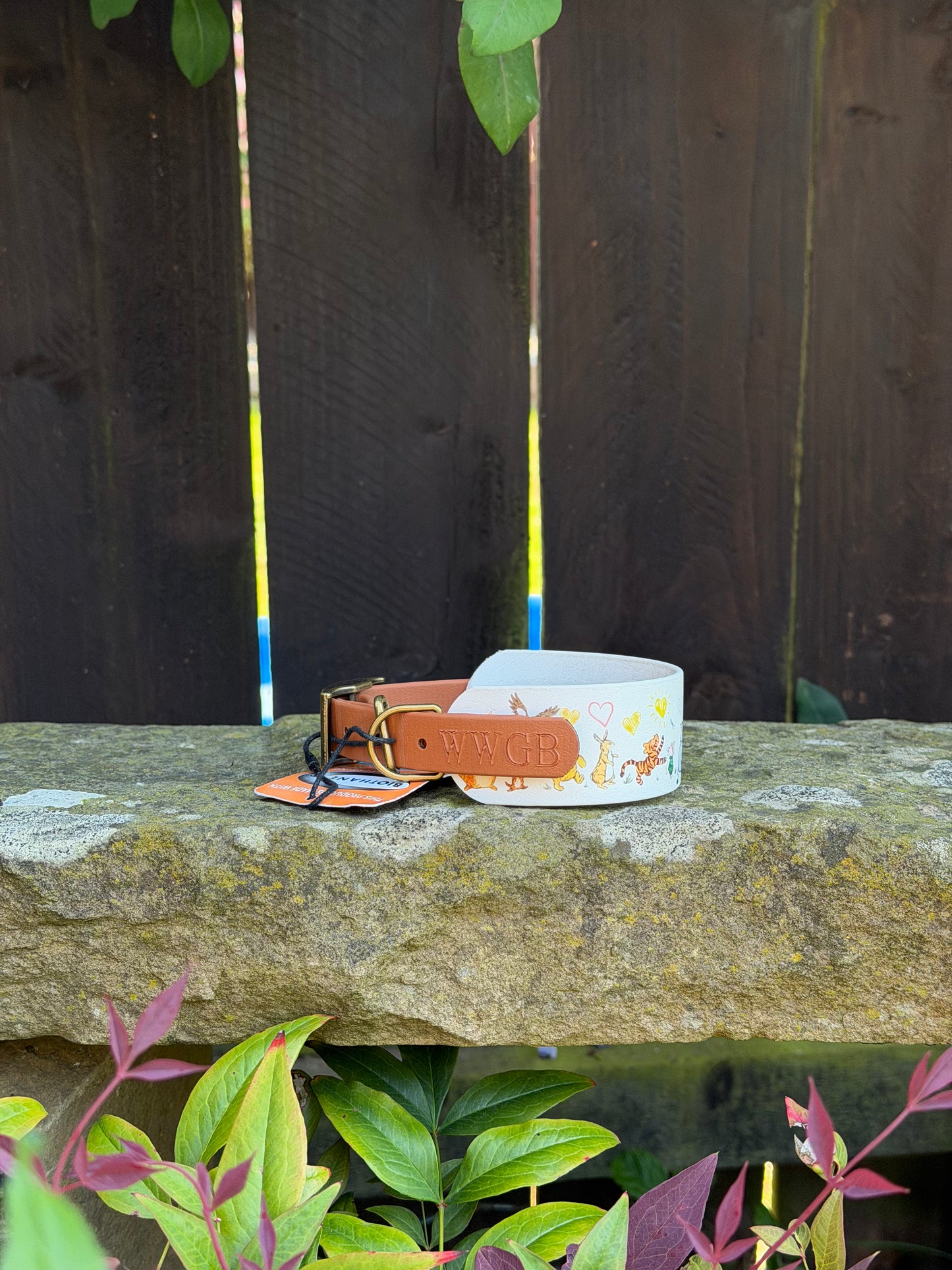 Ready to Ship Collars- Small and Medium