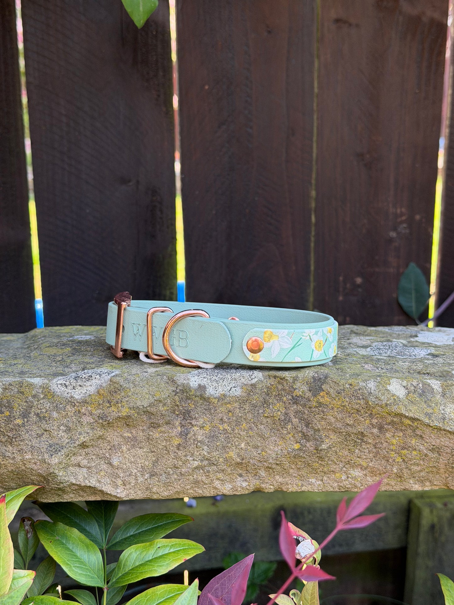 Ready to Ship Collars- Small and Medium