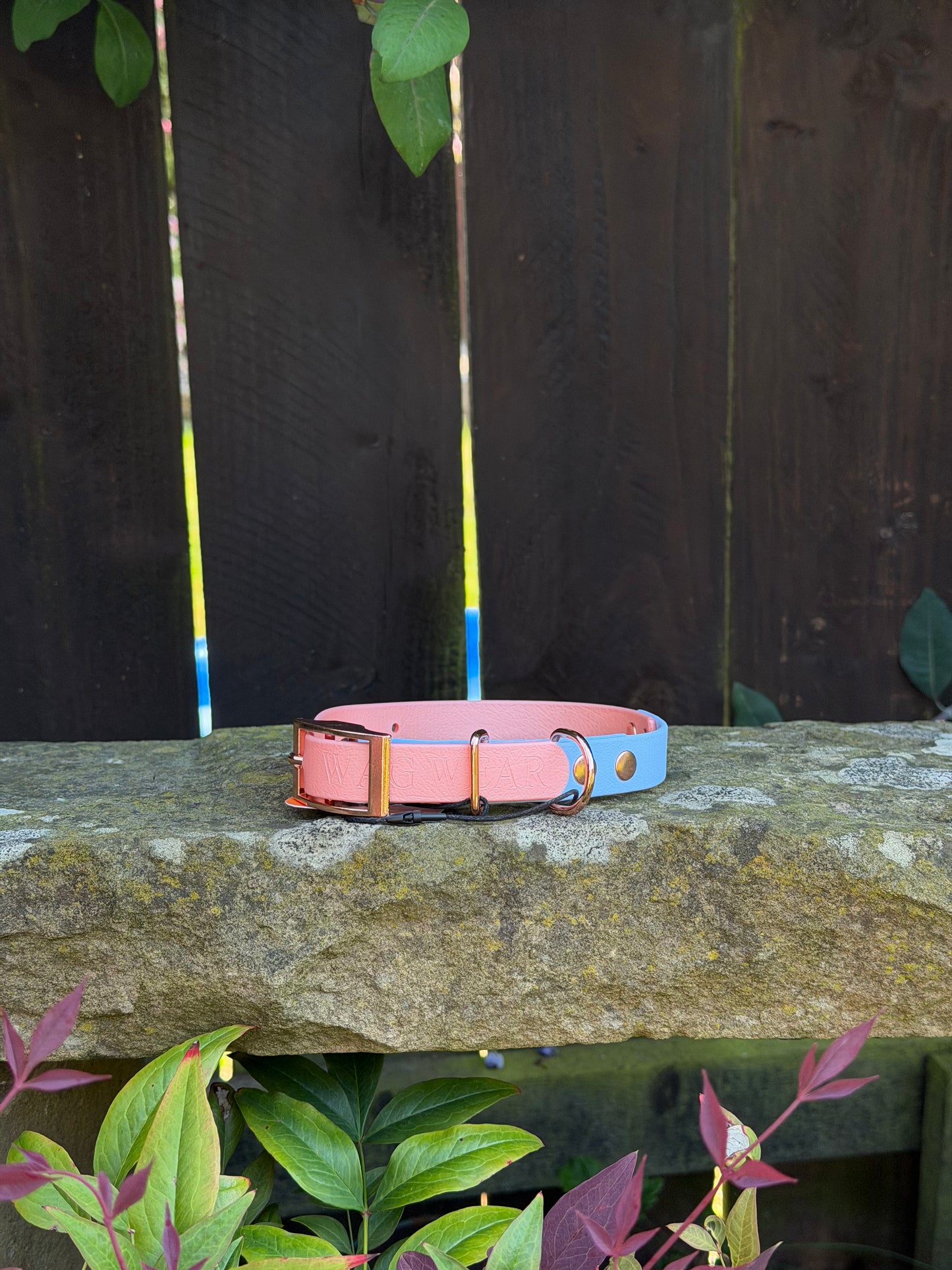 Ready to Ship Collars- Small and Medium