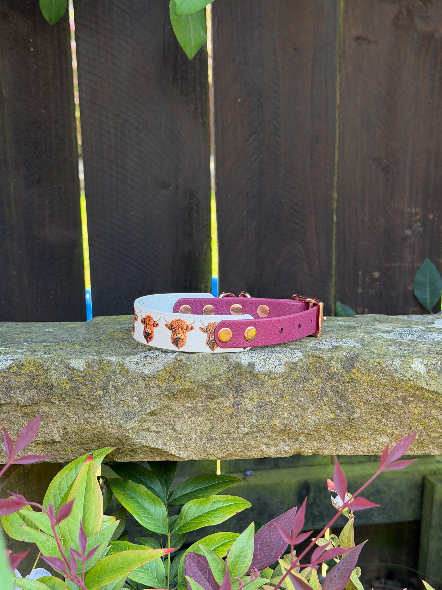 Ready to Ship Collars- Small and Medium