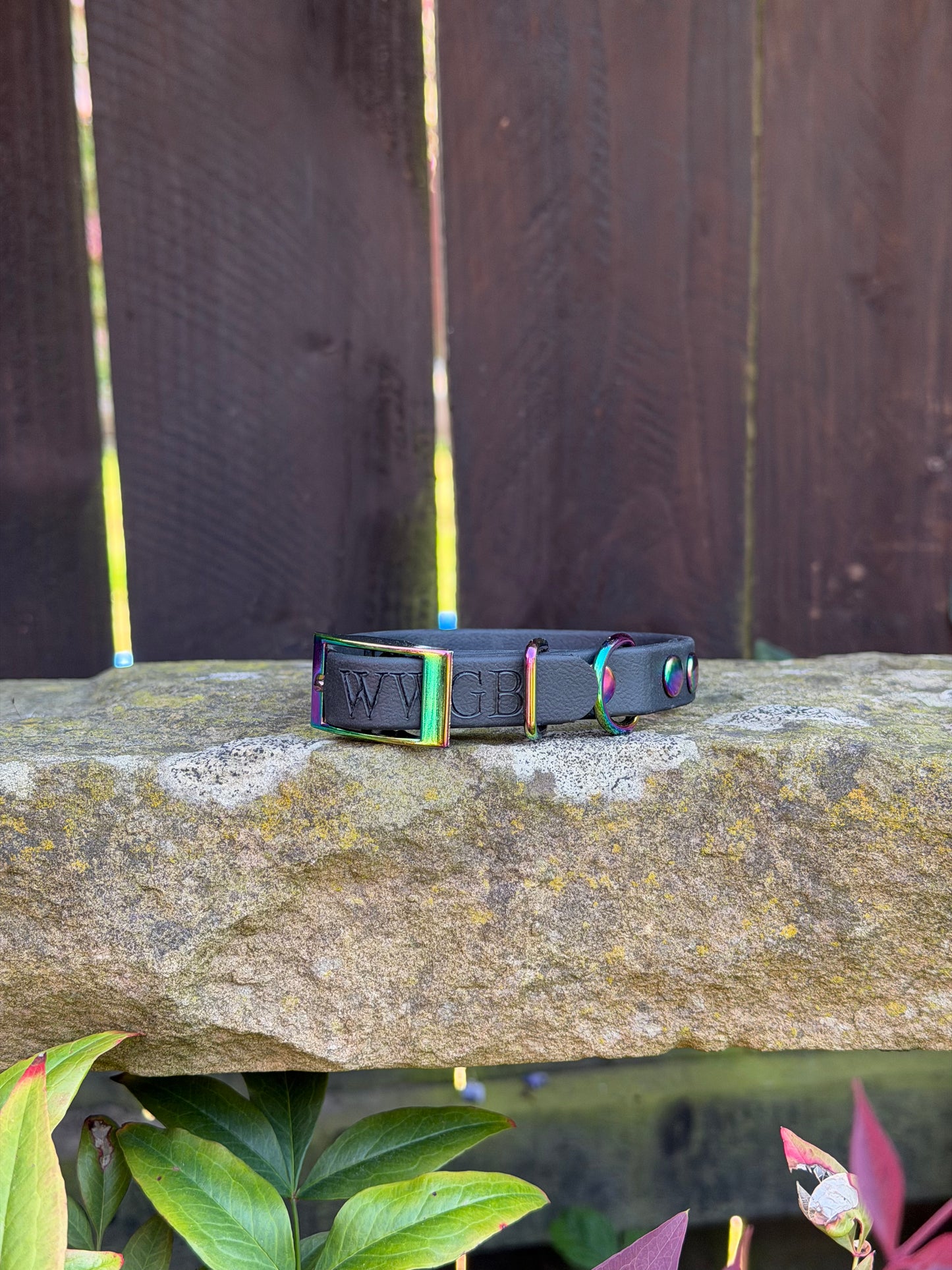 Ready to Ship Collars- Small and Medium