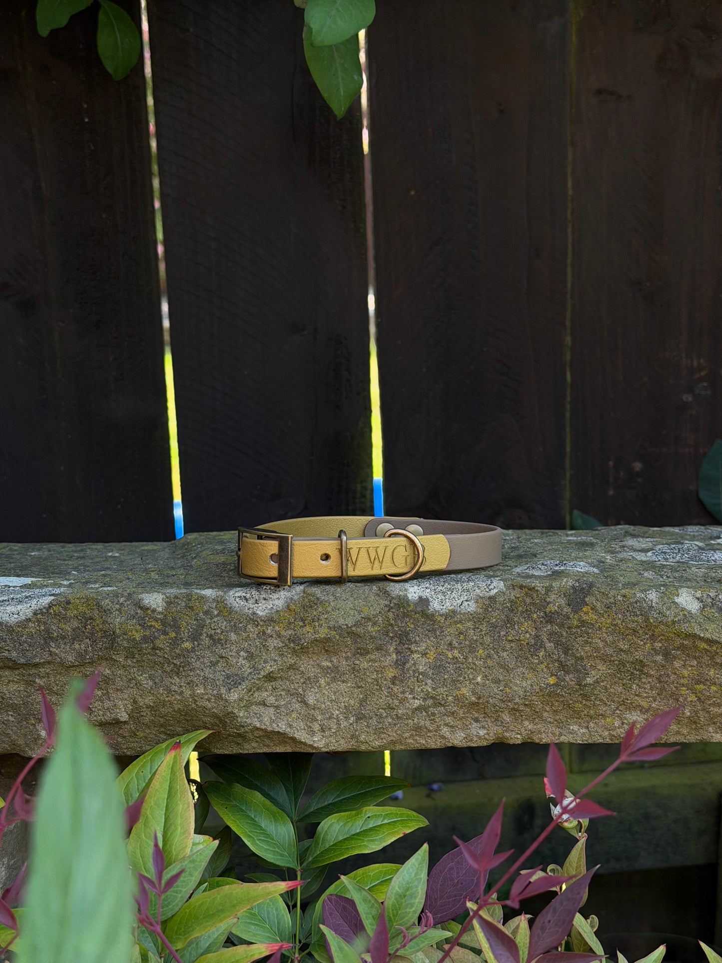 Ready to Ship Collars- Small and Medium
