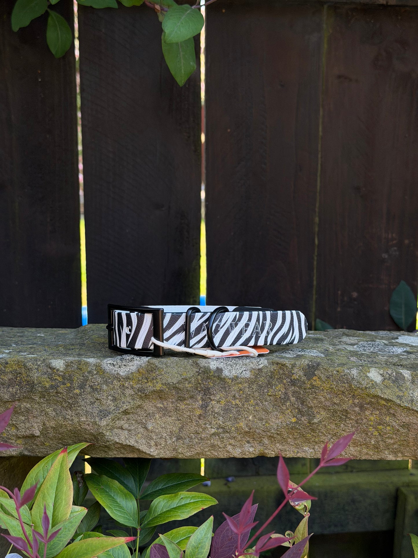 Ready to Ship Collars- Small and Medium
