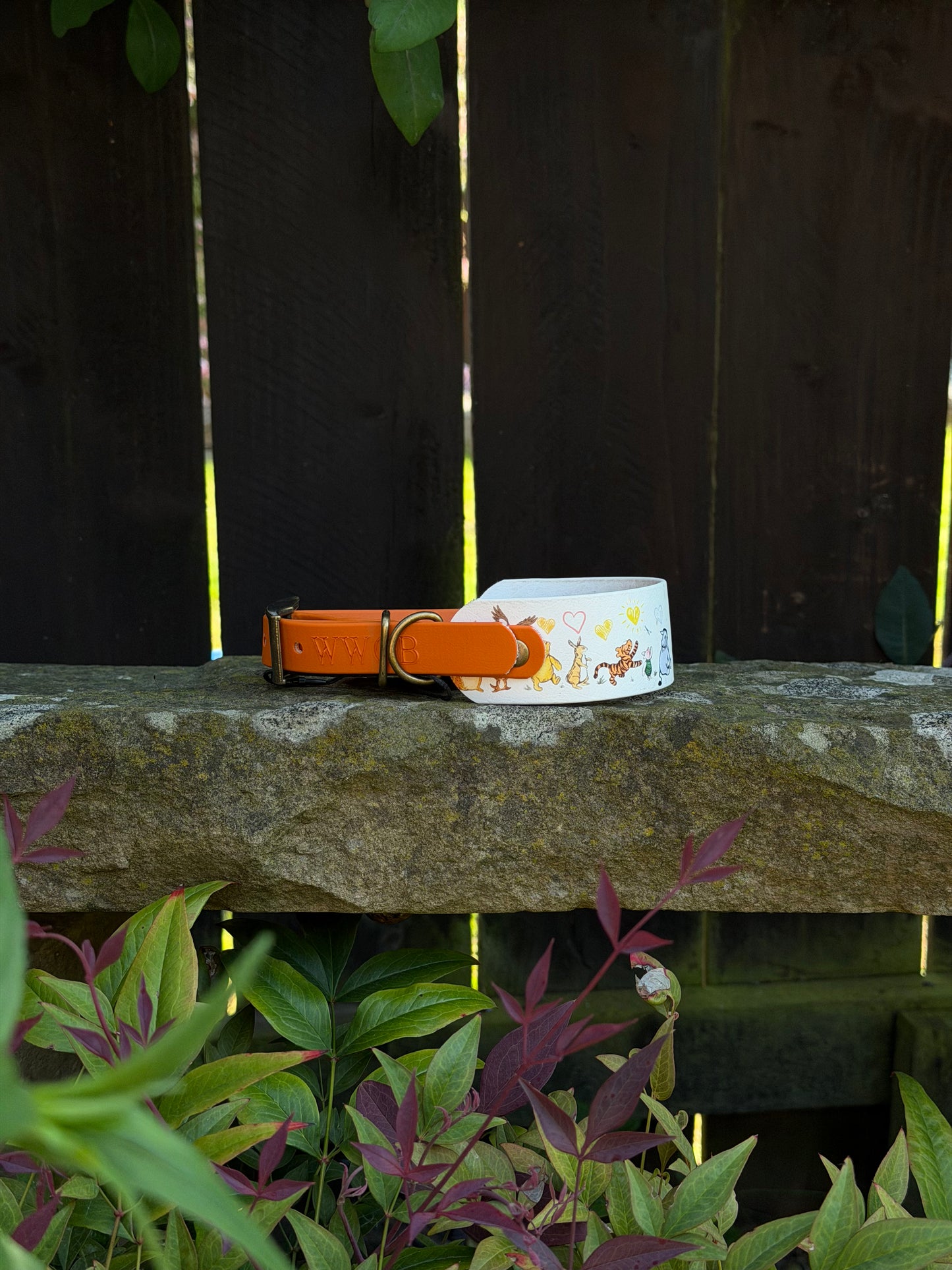 Ready to Ship Collars- Small and Medium
