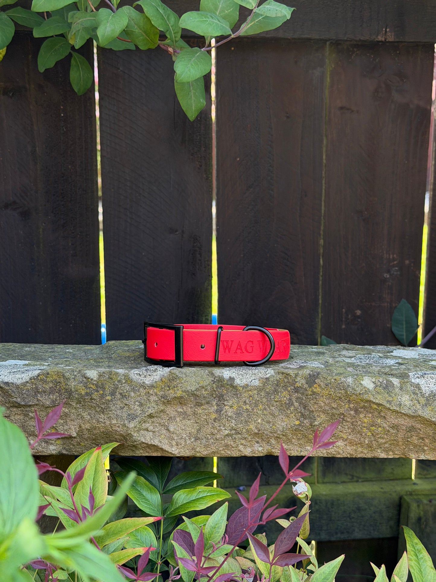 Ready to Ship Collars- Small and Medium