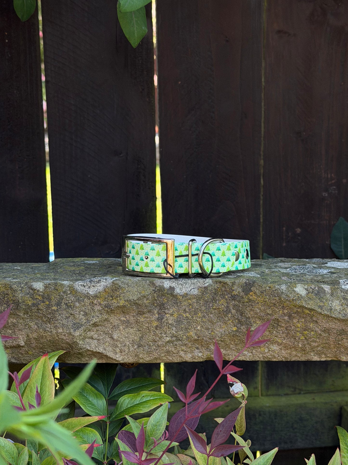 Ready to Ship Collars- Small and Medium
