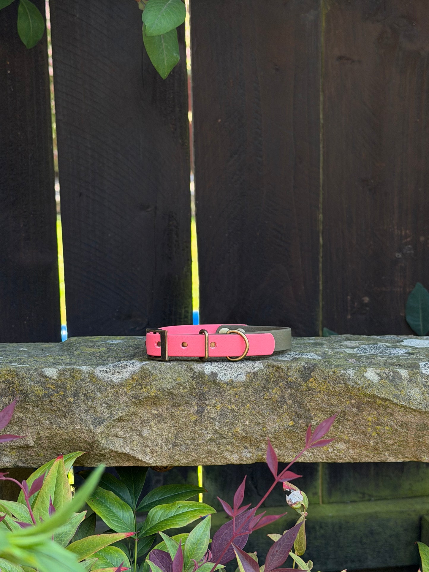 Ready to Ship Collars- Small and Medium