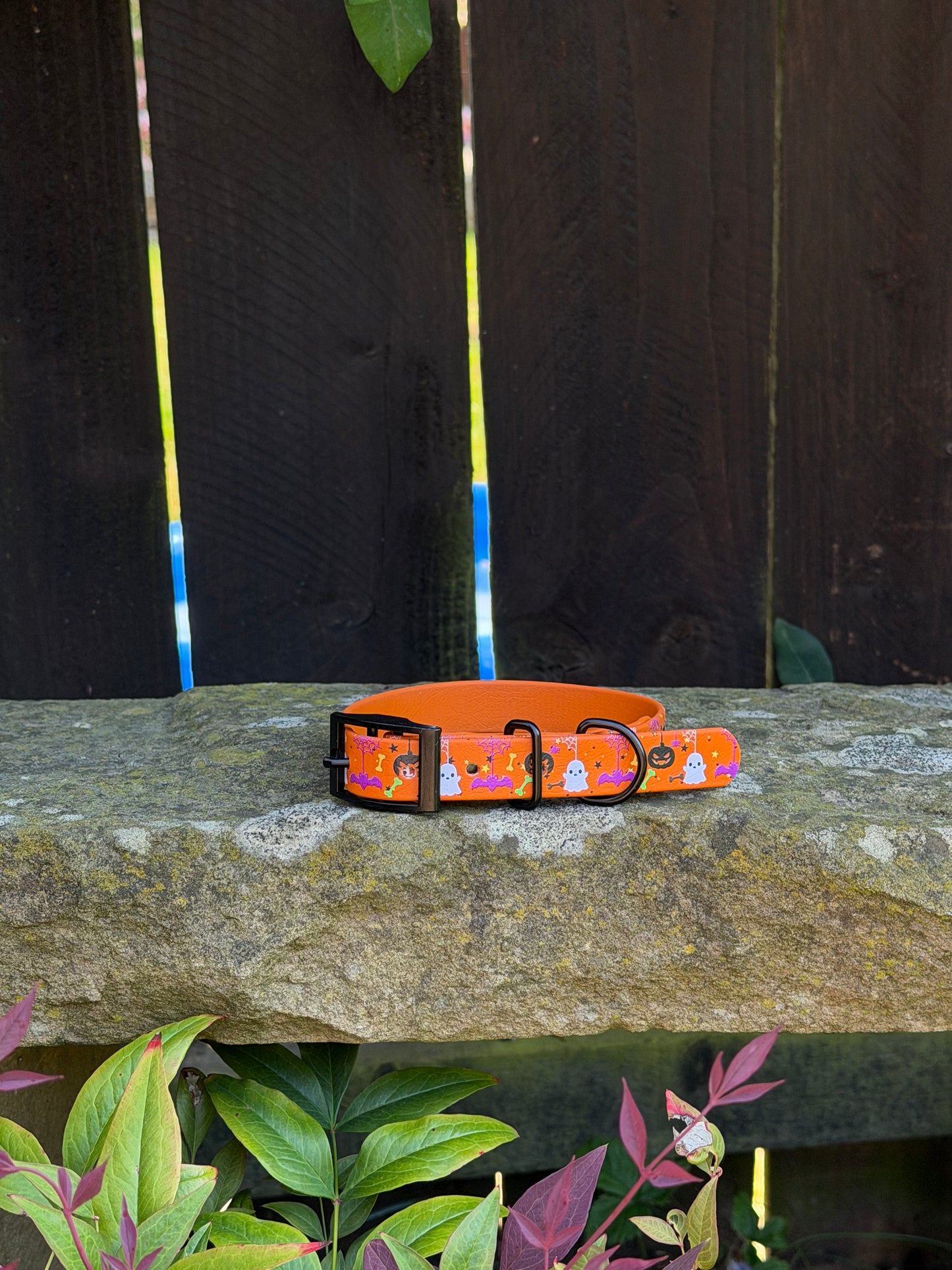Ready to Ship Collars- Small and Medium