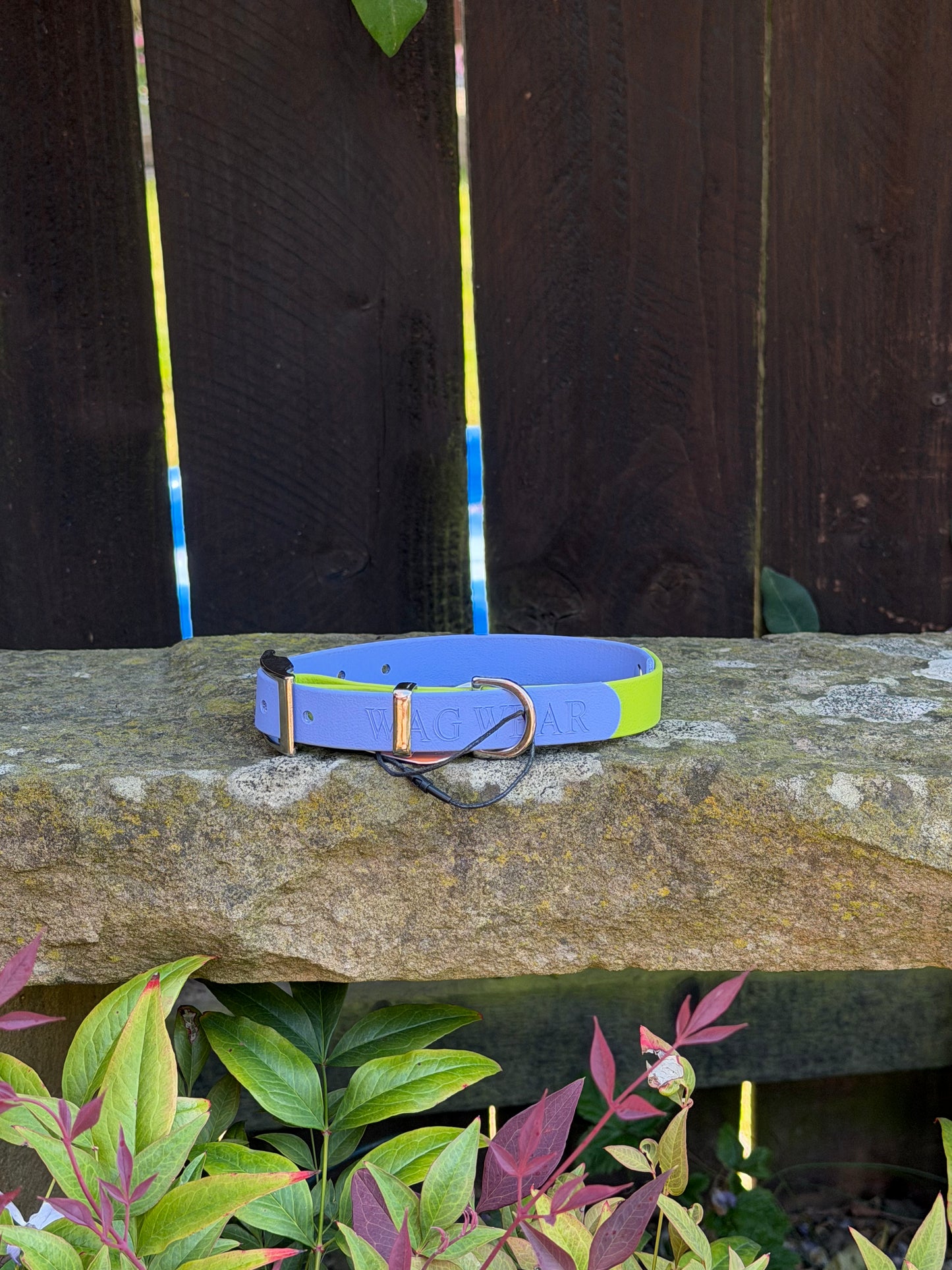Ready to Ship Collars- Small and Medium