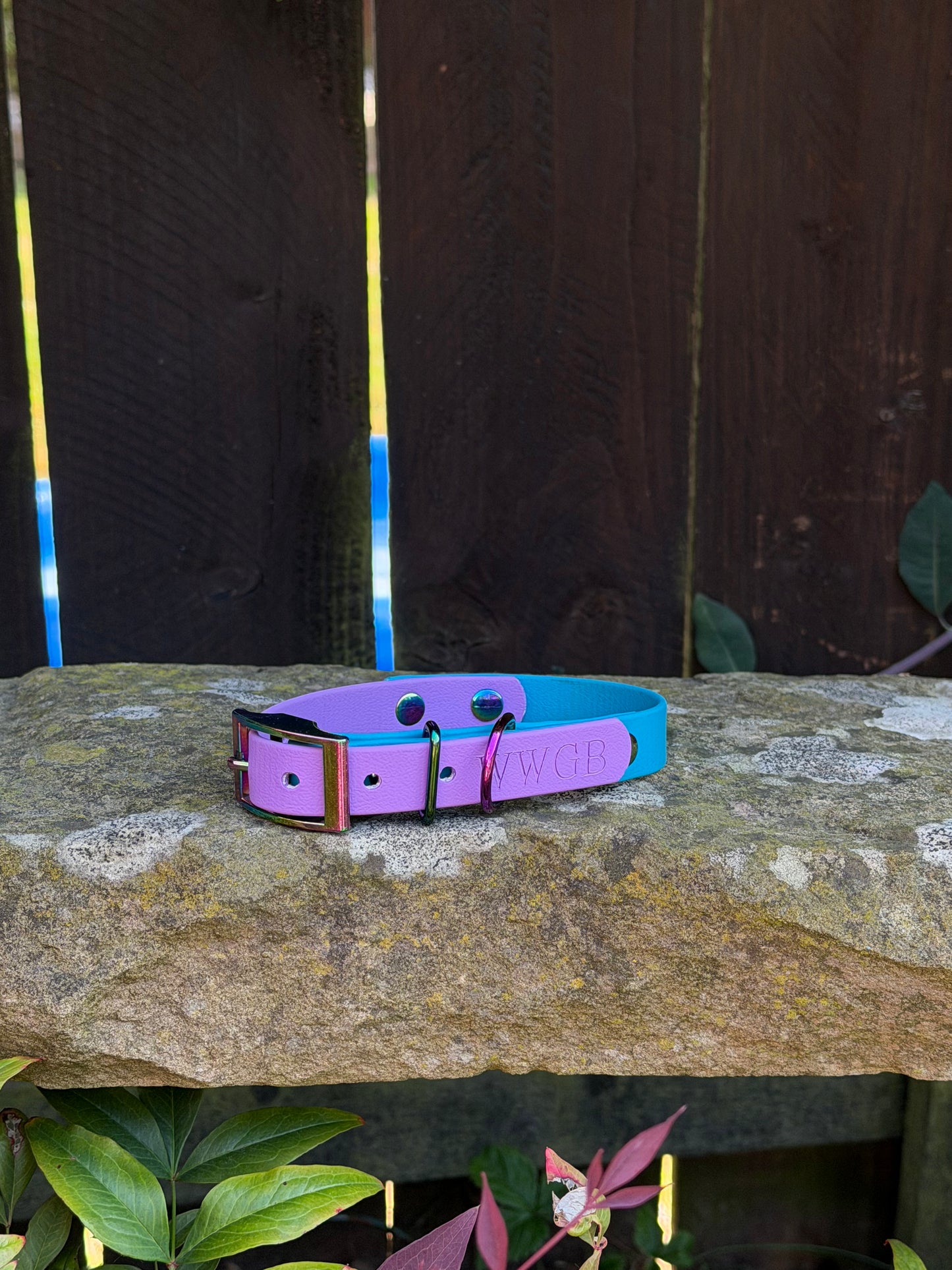 Ready to Ship Collars- Small and Medium