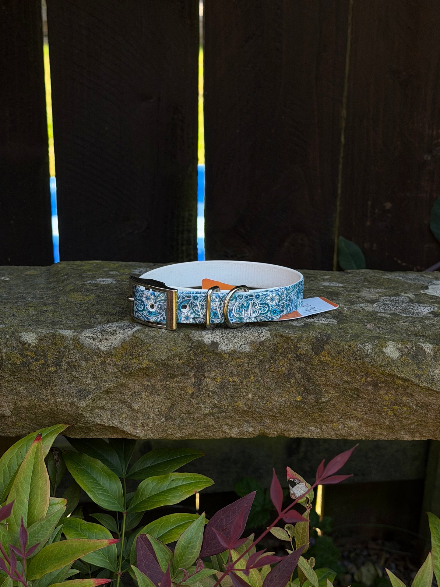 Ready to Ship Collars- Small and Medium