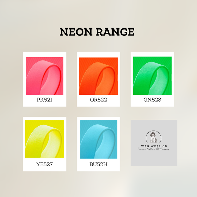NEON Range BioThane® Collar