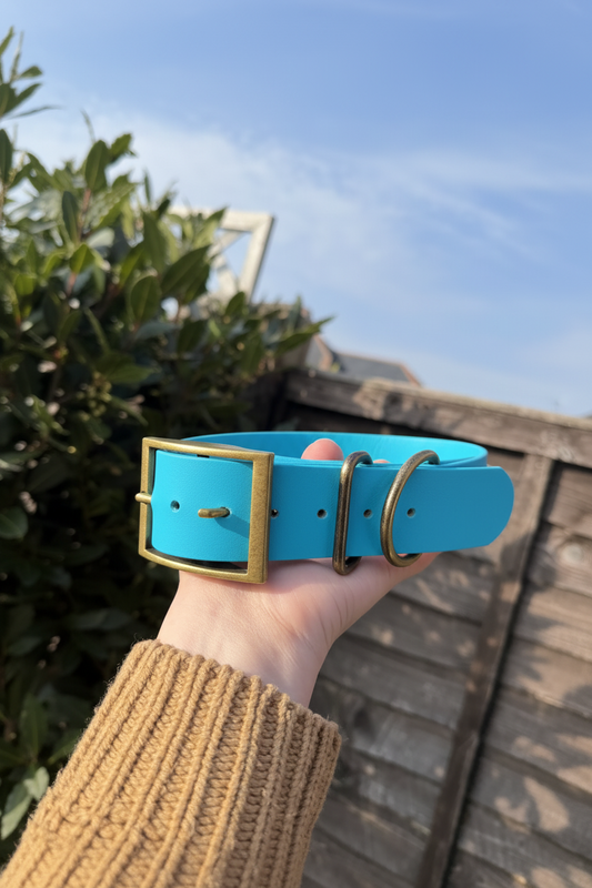 NEON Range BioThane® Collar